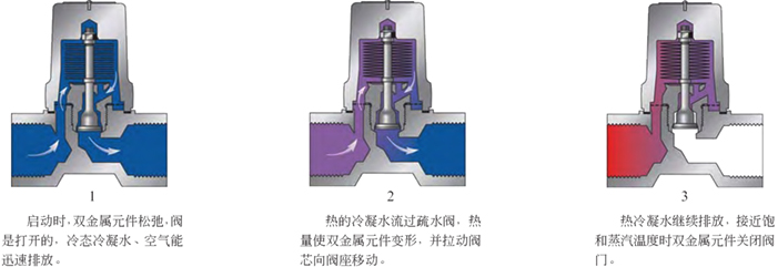 进口双金属温调式蒸汽疏水阀3.jpg