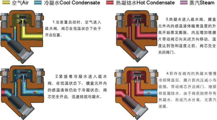 进口热静力膜盒式蒸汽疏水阀3.jpg