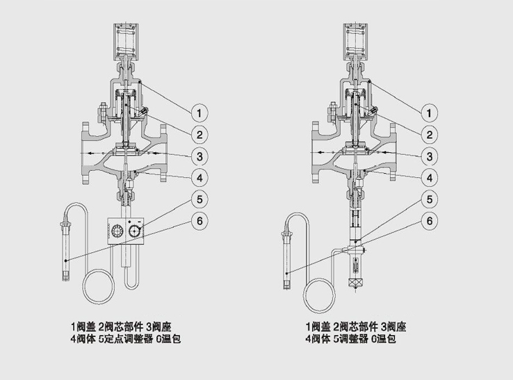 进口自力式温度调节阀结构图2副本.jpg