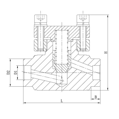 进口低温高压止回阀结构图.jpg