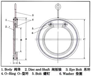 对夹式止回阀结构图.png