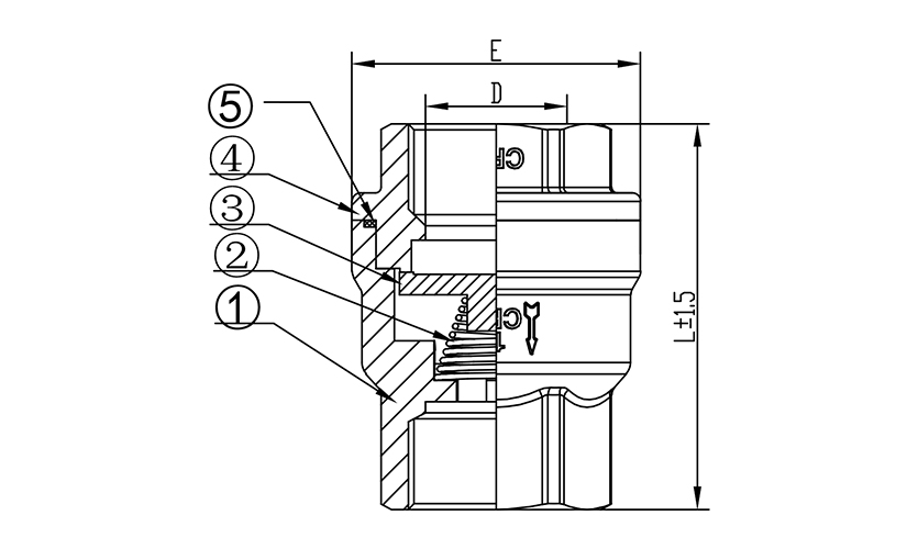 立式弹簧止回阀1.jpg